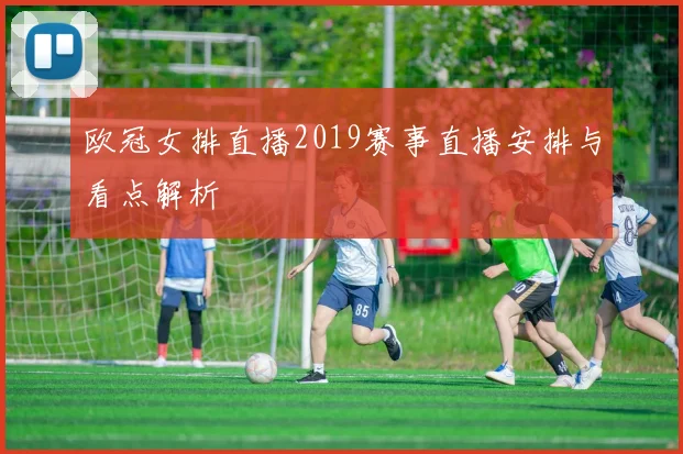欧冠女排直播2019赛事直播安排与看点解析