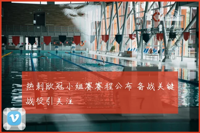 热刺欧冠小组赛赛程公布 备战关键战役引关注