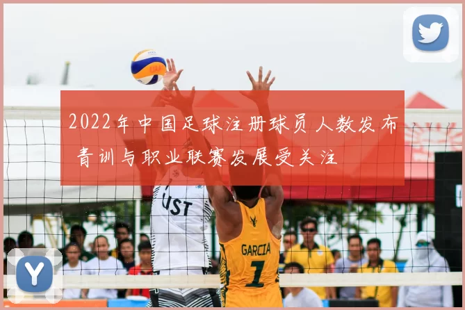 2022年中国足球注册球员人数发布 青训与职业联赛发展受关注