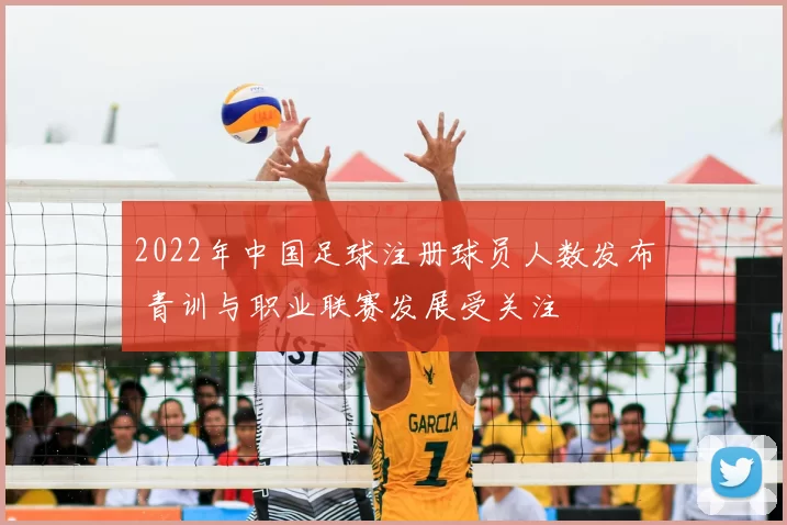2022年中国足球注册球员人数发布 青训与职业联赛发展受关注